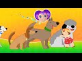 Special Agent Oso Codename The Man With The Golden Retriever