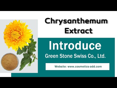 Chrysanthemum Indicum Extract Powder