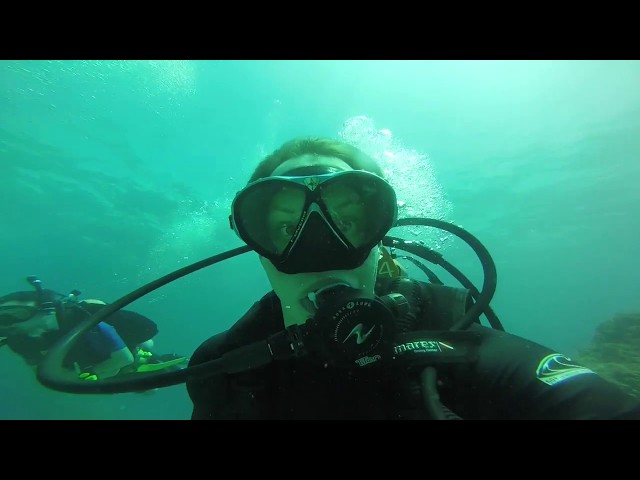 Reef Diving at Key Largo (John Pennekamp Coral Reef State Park)