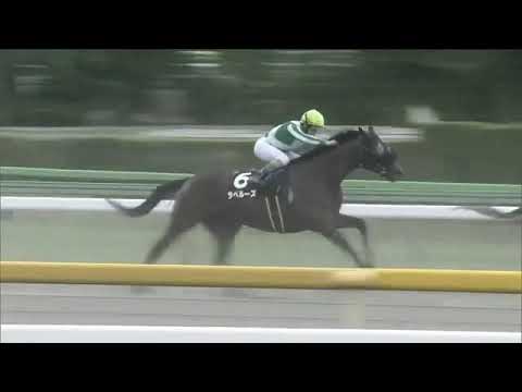 2021.05.16 Seiryu Stakes (JPN) - Gempachi Forza
