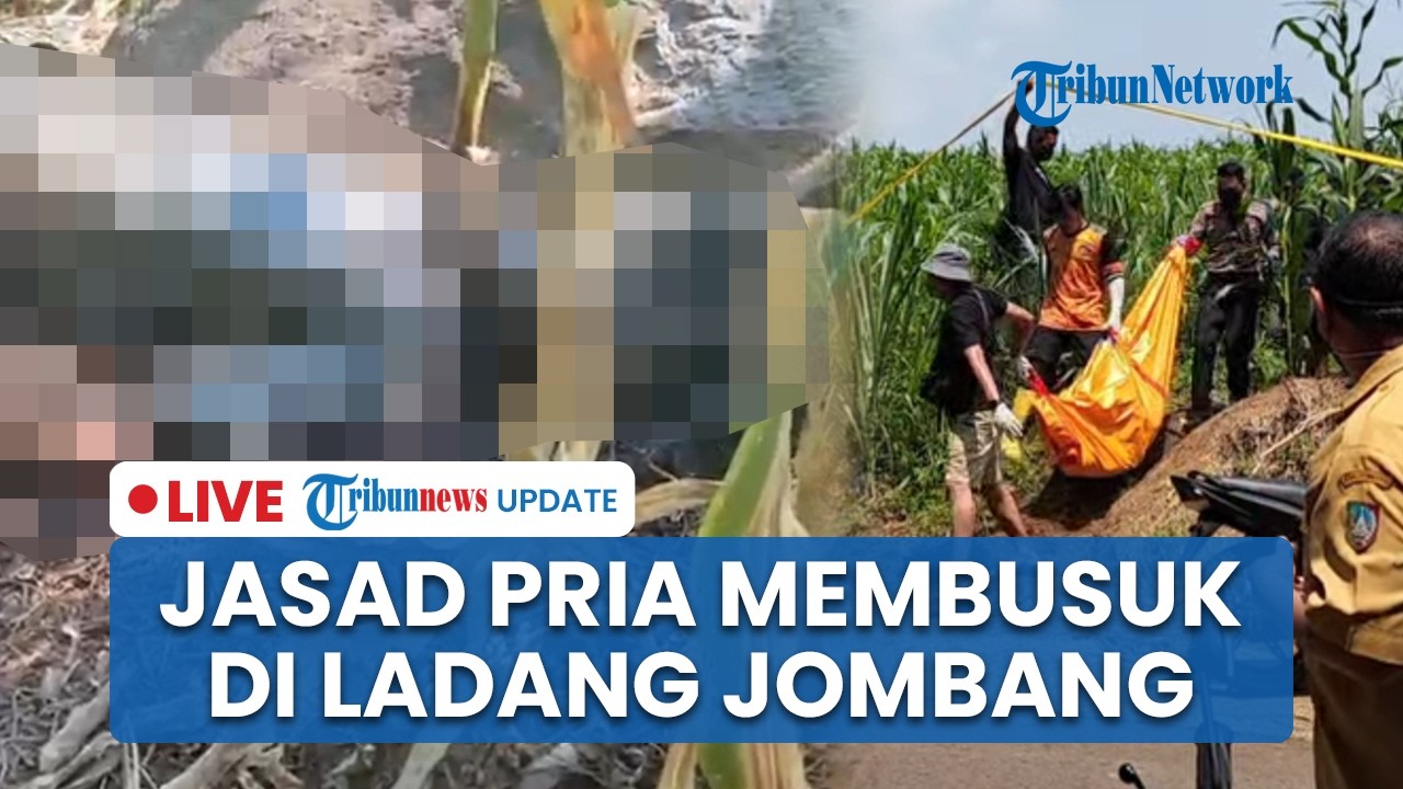 LIVE: Jasad Pria Ditemukan Membusuk di Ladang Jagung Wonosalam Jombang, Ada HP di Saku Korban