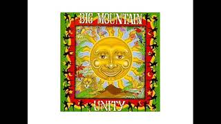 Big Mountain   Revolution   1994