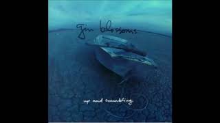 Gin Blossoms - Just South of Nowhere (demo)