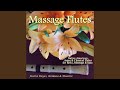 Healing Reiki Melody 