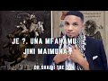 JE UNAMFAHAMU JINNI MAIMUNA