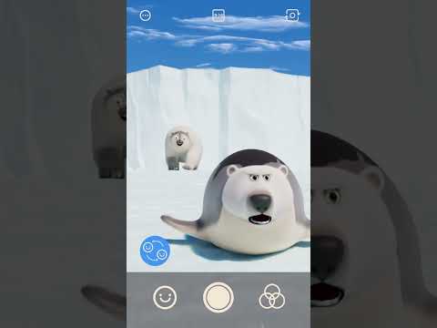 Funny Face Filter on Seals #shorts