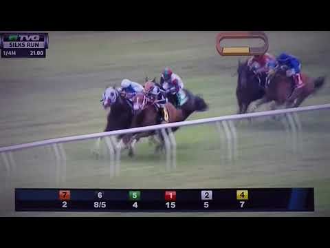 SILKS RUN ( G STAKES ) 3/10/18 - VISION PERFECT !!