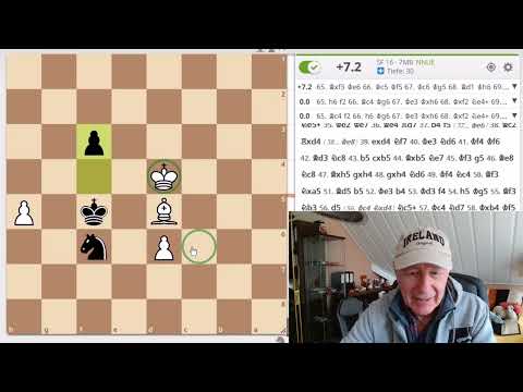 Eine Partie in memoriam Vlastimil Hort (gest. 12.5.25)