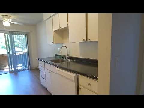 The Meadows - Video 7 of 7