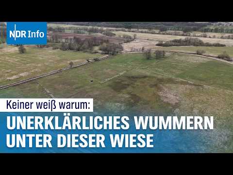 Ungelöstes Mysterium – Woher kommen die unerklärlichen Geräusche unter dieser Wiese? I NDR Info