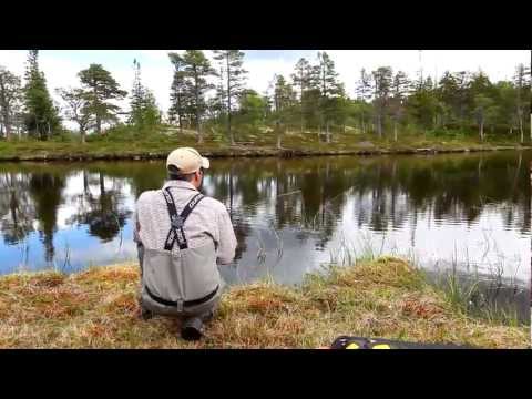 Matt Hayes fisker efter ørreder i det norske fjeld
