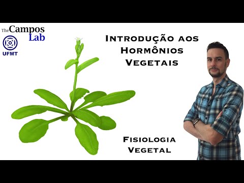 Introduction to Plant Hormones