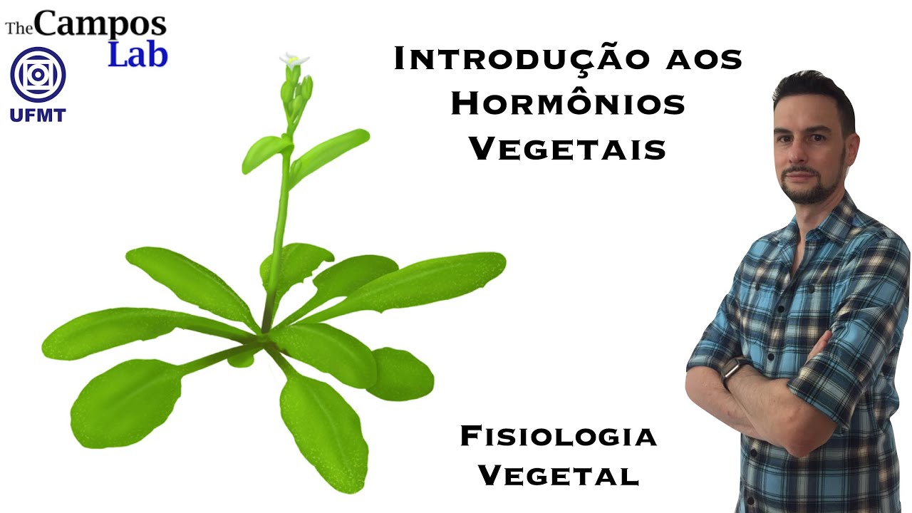 Introdução aos Hormônios Vegetais