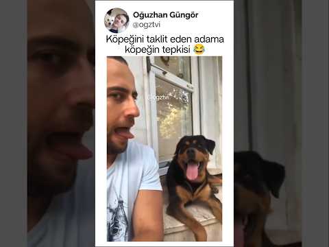 Köpeğini taklit eden adama köpeğin tepkisi