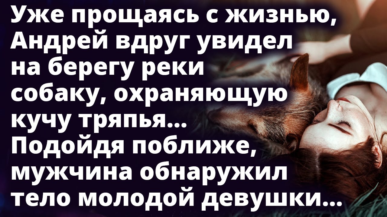 Андрей увидел на берегу реки собаку, охраняющую кучу тряпья. Подойдя поближе...Любовные истории