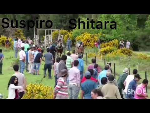 El suspiro vs la shitara
