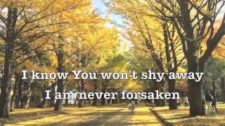 Never Forsaken (lyrics) Hillsong Worship