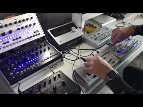 The Final Test : Roland TB-03 VS Roland TB-303