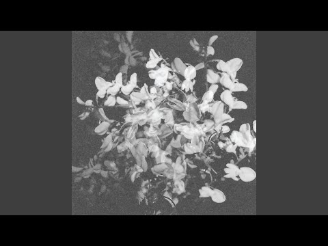 Obsidian Falls (Archivist Remix)