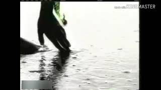 PBS Kids Only You template