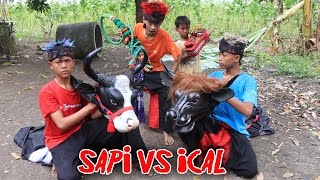 Download lagu BULL BATTLE VS ICAL UNTIL MBEROT GOES OVER AND IS POSSESSED BY A DEMON mp3