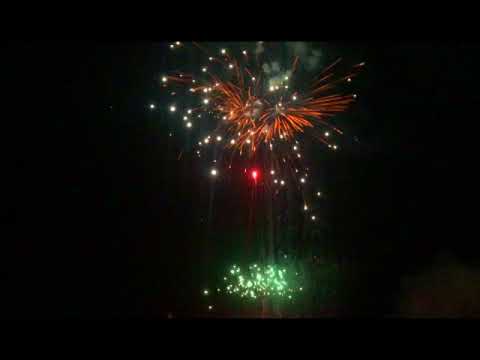 SCB936 - 49s 30mm Gold Willow w White Tips