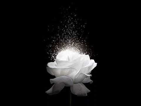 Eric Liniger -  Hypnotic - Remastered HD