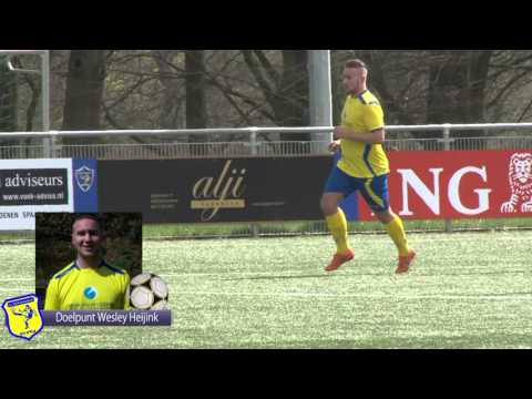 Samenvatting Veluwezoom - AVW '66