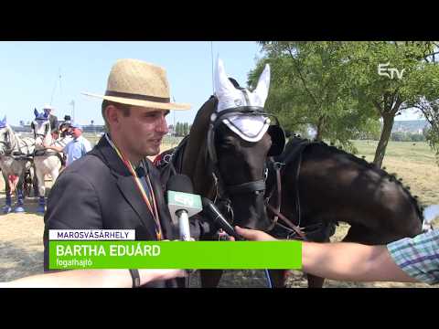 Sporthírek 2017. augusztus 28. – Erdélyi Magyar Televízió