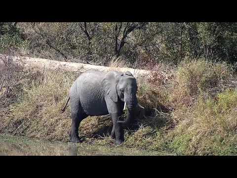 Djuma: Sights and sounds - 12:10 - 07/01/21