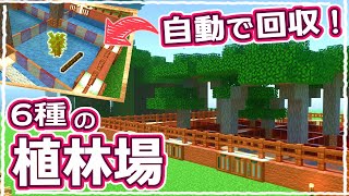 【マイクラ】自動回収機能付き！超便利な6種類の植林場の作り方 #61【統合版サバイバル】