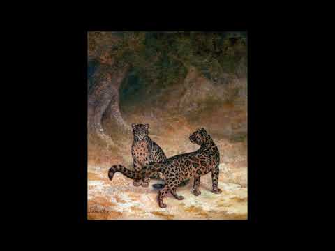 DJ Rolando aka The Aztec Mystic – Jaguar (slowed + reverb)