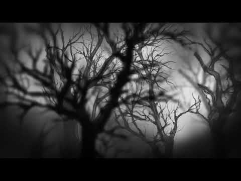 Mieczysław Weinberg - Pamiątka (Souvenir) op. 132