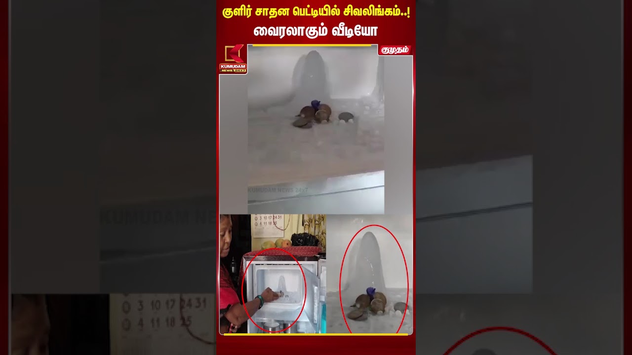 குளிர் சாதன பெட்டியில் சிவலிங்கம்..! வைரலாகும் வீடியோ | Sivalingam | Kumudam News