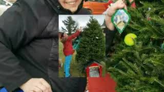 Burke Chamber Christmas Tree