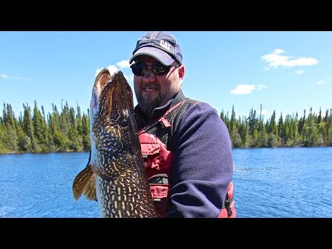 Super Huge Napken Lake Pike!!