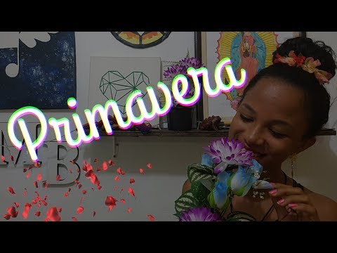 Primavera video