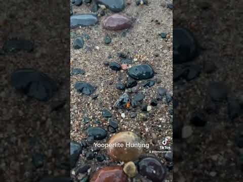 Yooperlite Hunting day 2 #michigan #rockhounding #rockhunting #upperpeninsula #yooperlitehunting
