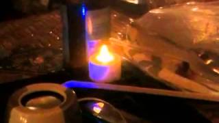 Coachwhips-"your party will be a success"