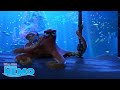 Finding Dory | Dory & Hank in het Aquarium | Disney NL