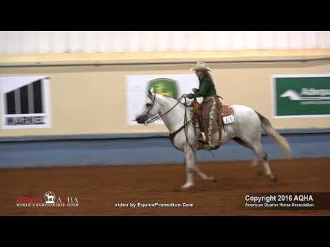 CROMEPLATED SIDEKICK ridden by LINDA M BOUZIDEN-LACKEY  - 2016 AQHA World Show (Sr Ranch Riding)
