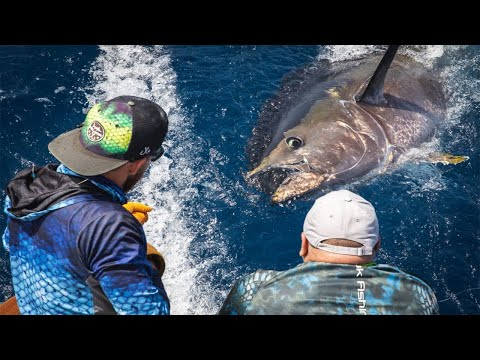Amazing Traitional Tuna Fishing Handline in the Sea - Handline Fishing  videos