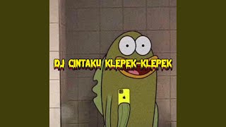 Download lagu DJ CINTAKU KLEPEK KLEPEK SAMA DIA X MASHUP OLD ELS... mp3
