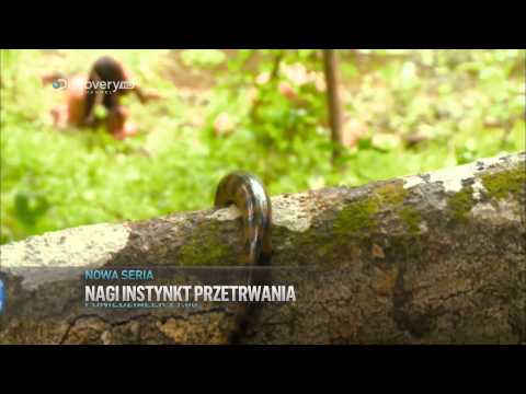 Discovery Channel - Nagi instynkt przetrwania