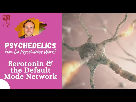 Serotonin & the Default Mode Network | How Do Psychedelics Work?