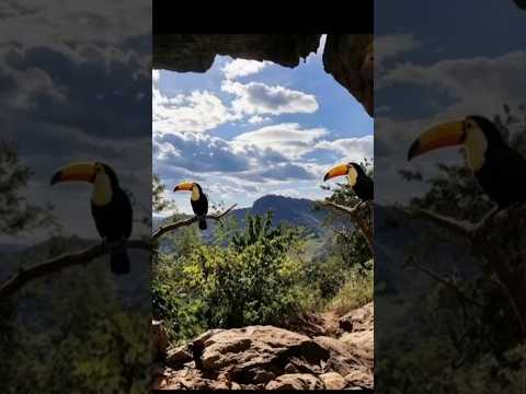 Gruta Nossa Senhora de Lourdes. Bom Jesus do galho MG.