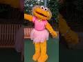 Zoe Spreading Her Positive Energy On The Street ️ Sesameplace Zoe