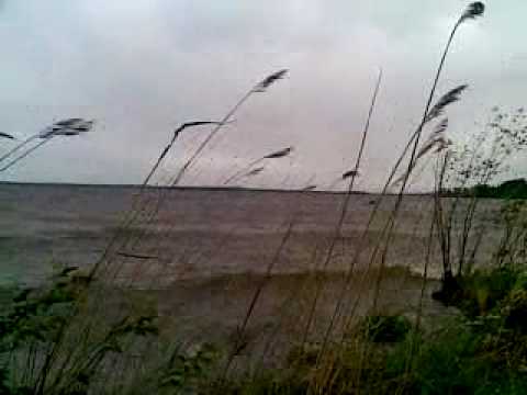 Sotkanniemi - HiWind Center