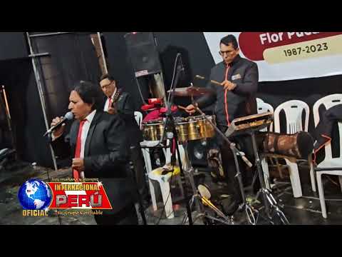 Mulisa, Vil Cocodrilo INTERNACIONAL PERÚ Oficial