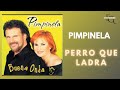 Pimpinela//Perro que ladra//Letra